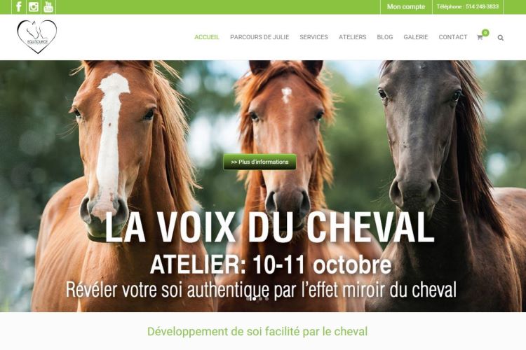 Conception Web pour Equisource